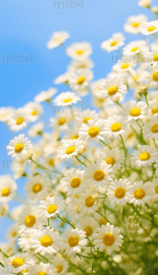 zӰDȻLrѩɽɃ