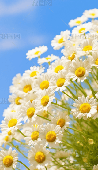 zӰDȻLrѩɽɃ
