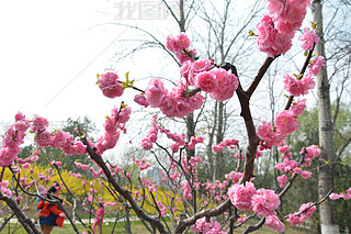 @ʢ_ذ~÷