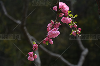 @ʢ_ذ~÷
