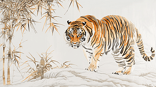 CϻΩΩФOxy(tng)Cb