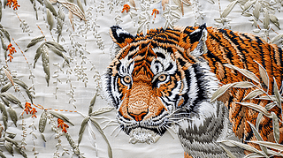 CϻΩΩФOxy(tng)Cb