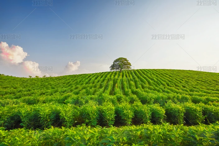 zӰ