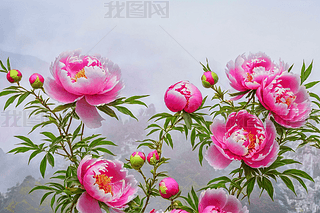 ĵɫŶF(tun)\L(fng)ڼDDƬ