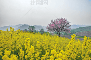 Ͳ˻һʢ_(ki)ȻL(fng)DƬ