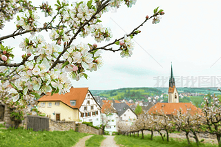 һO_֦ǵһ(g)СfDƬ