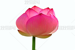 ɫ·ɫɻ˯ɏ،(xi)DƬ