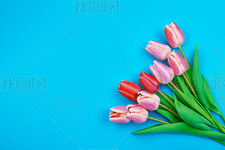 {(ln)ɫһĸH(ji)˹(ji)DƬ