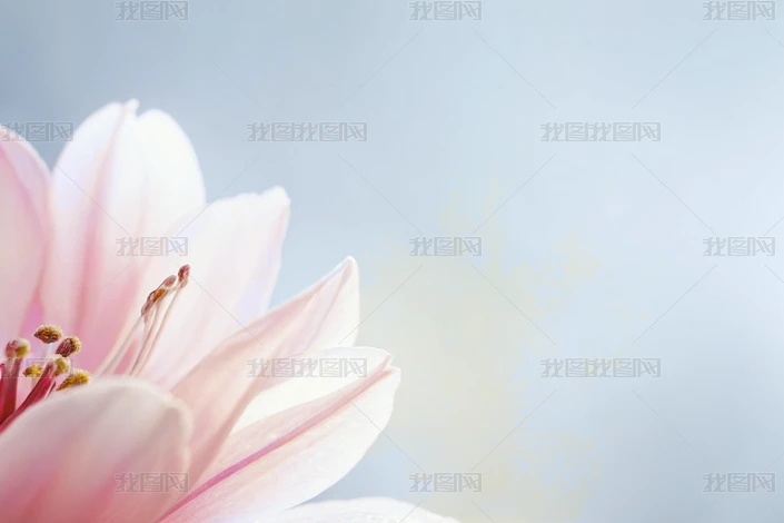 ۼtyƷ