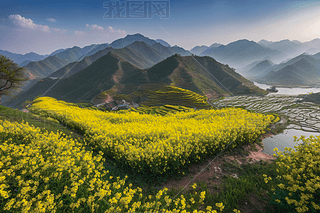 hͲ˻l(xing)崺ϢcζDƬ