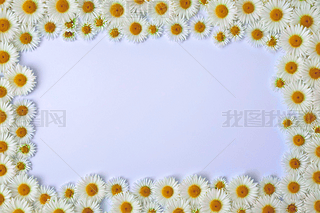 ᘻ׹ᘲݻ԰׼鱳DƬ