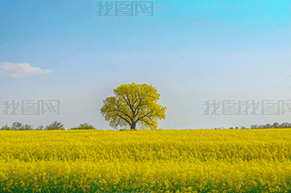 һʢ_(ki)Ͳ˻(sh)DƬ