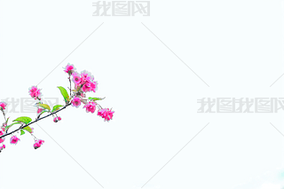 ۼtɫzֲʢ_(ki)،(xi)DƬ