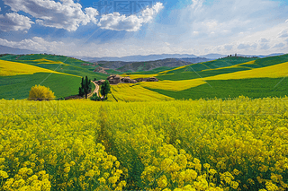 KastamonuͲL(fng)DƬ