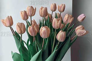 ˹(ji)ĸH(ji)ӻɫDƬ