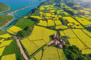 ǰl(xing)Ͳ˻L(fng)⺽ĈDƬ