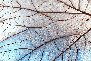 ƽ͸~Ӽy|(zh)ֱƬDƬ