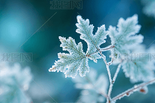 ˪ˮGɫ~캮糿{ɫDƬ