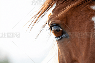 ،(xi)ɫR۾(du)ɫDƬ