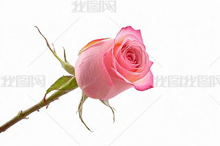 һõ˹(ji)oﺣ(bo)زĈDƬ