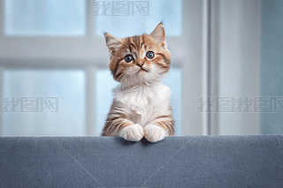 һ(g)ɐ(i)KmۯB؈ФDƬ