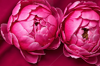 ȫڲ޵ĵtɫ{ɫDDƬ