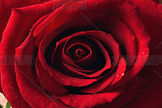 tɫõ廨،۶Ycף˹(ji)DƬ