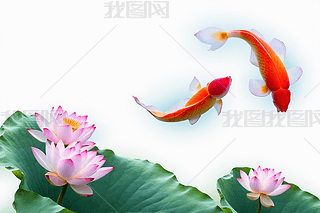 ~ɻ(sh)aϳƬDƬ