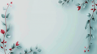 ˹С