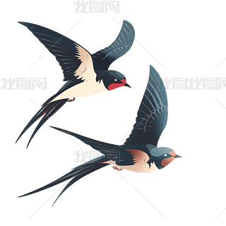 Lز