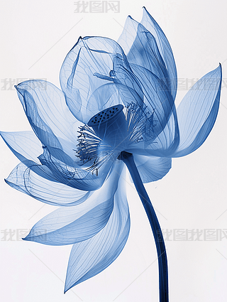 ɏX侀͸Ψˇg(sh)O(jin)xO(sh)Ӌ(j)زĄ(chung)宋(hu)