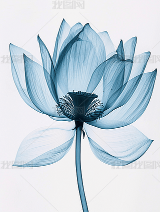 ɏX侀͸Ψˇg(sh)O(jin)xO(sh)Ӌ(j)زĄ(chung)宋(hu)