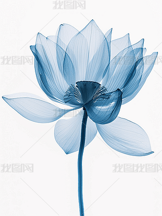 ɏX侀͸Ψˇg(sh)O(jin)xO(sh)Ӌ(j)زĄ(chung)宋(hu)