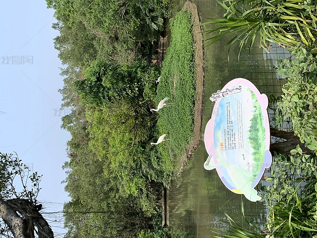 zӰD
