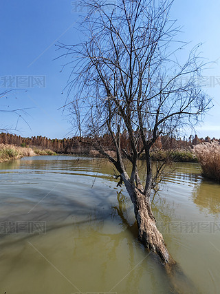 ԭ(chung)ΨˮɼL(fng)Ƭ