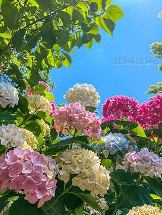 ů_ʢ_ĲɫC򻨈FzӰز02