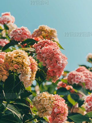 ů_ʢ_ĲɫC򻨈FzӰز03