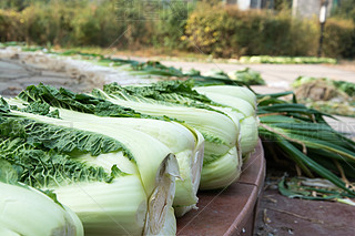 Ĵײ