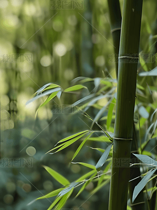 GɫB(ti)ִվGRԊƔzӰز04