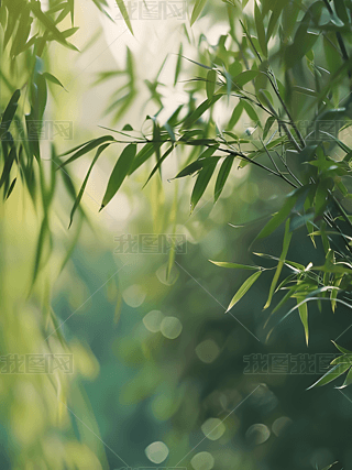 GɫB(ti)ִվGRԊƔzӰز02