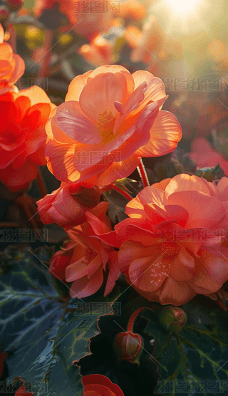 zӰDļ亣ķɫʢ_(ki)