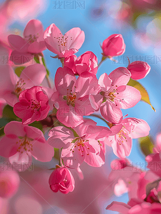 ۼtɫĻΨˇgϢzӰD̘I