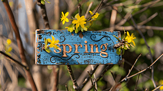 SpringջָʾƔzӰز02