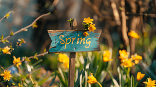 SpringջָʾƔzӰز03