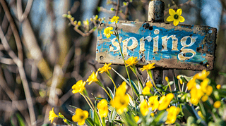 SpringջָʾƔzӰز01