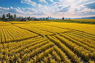 r(nng)r(nng)I(y)@LSSՈDƬ