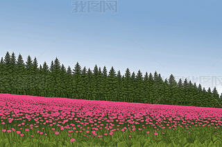 ۼtɫɭֈDƬ