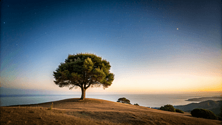 ݵϵĴbh(yun)ոzӰDҵs־