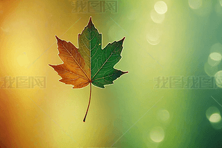 ~ɫwF(xin)(ji)漾(ji)(chung)DƬDƬ