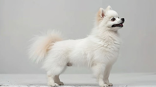 »g򹷼NȮ̩τȮƿɐ